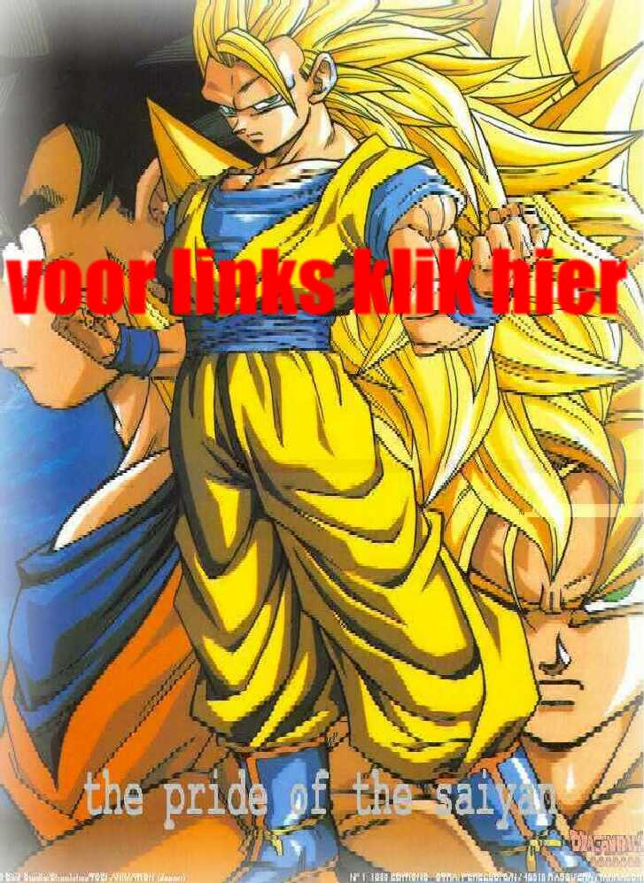 Image of gokuf.jpg