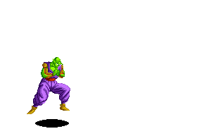 Image of piccolog2.gif