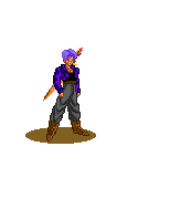 Image of trunksg3.gif