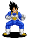 Image of vegitag2.gif